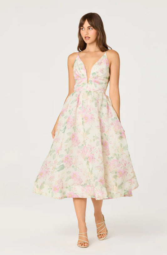 Janna Dress Pink Multi