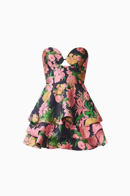 Eclore Mini Dress Pink Multi