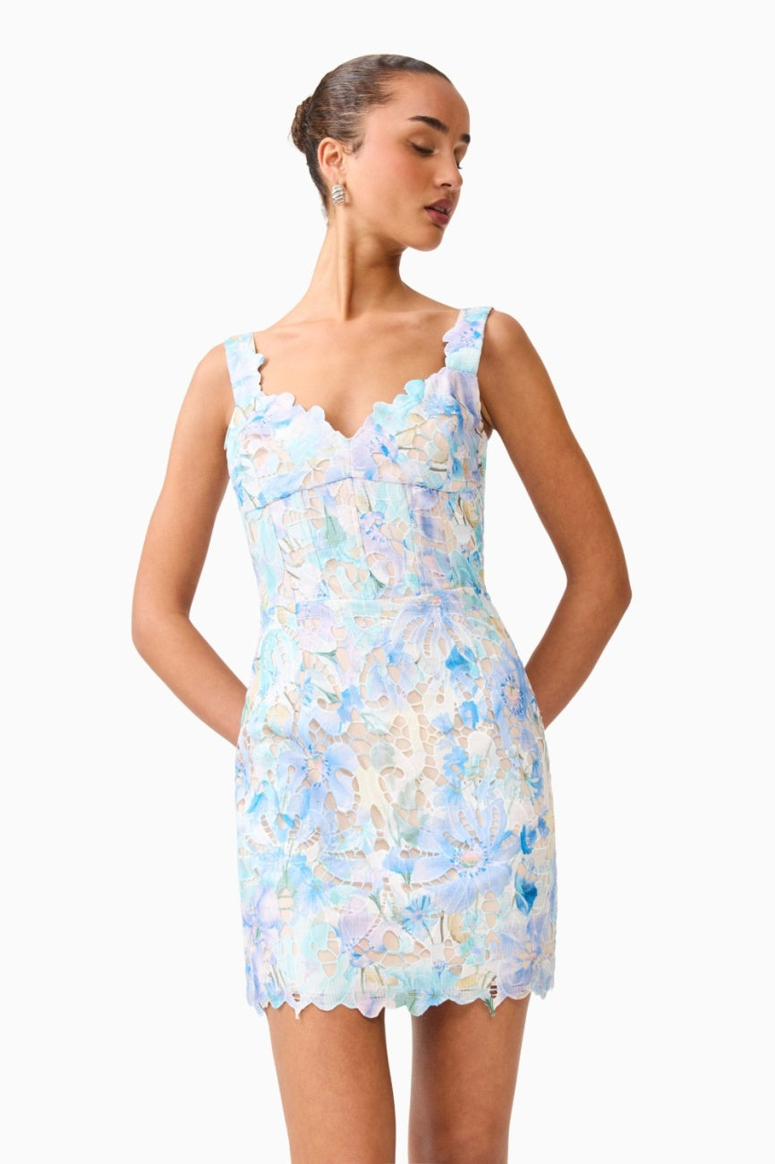 Kalissa Dress