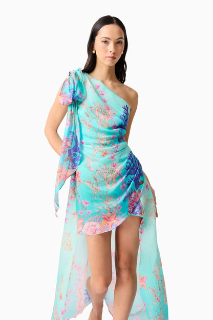 Coral Dress Blue Multi