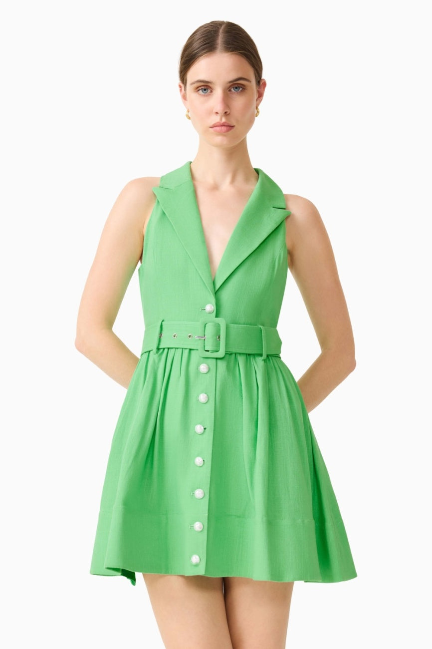 Emilie Mini Dress Green