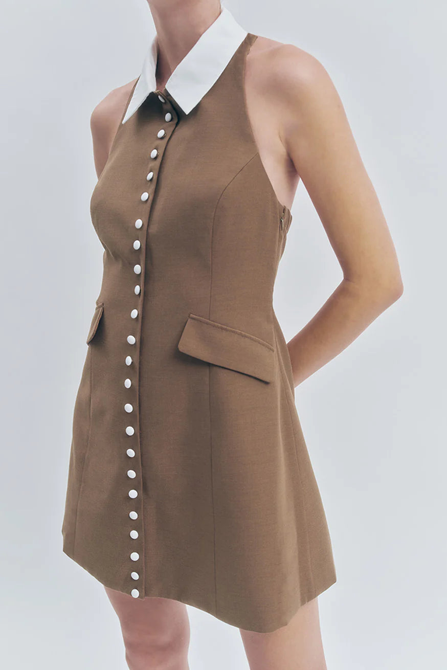 Dali Mini Dress Brown