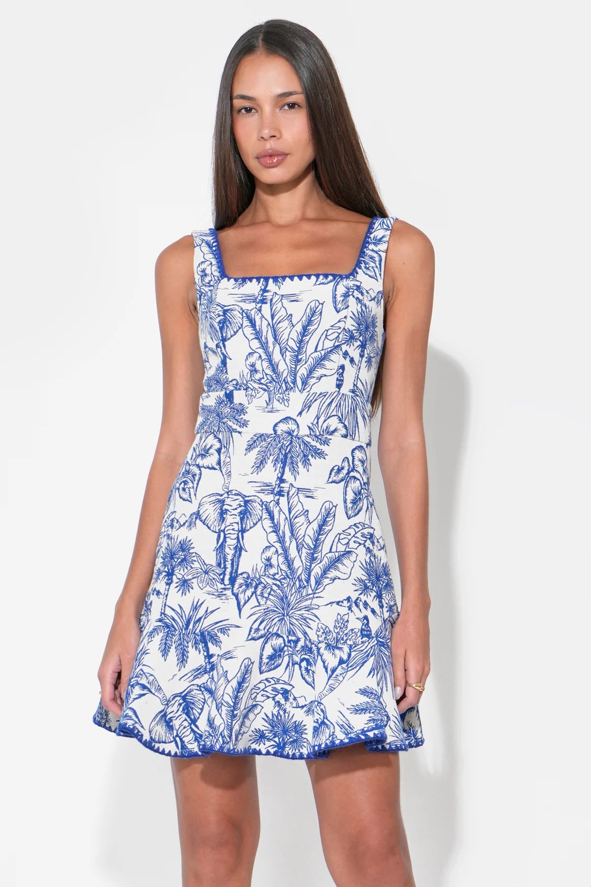 Ximena Mini Dress Blue White