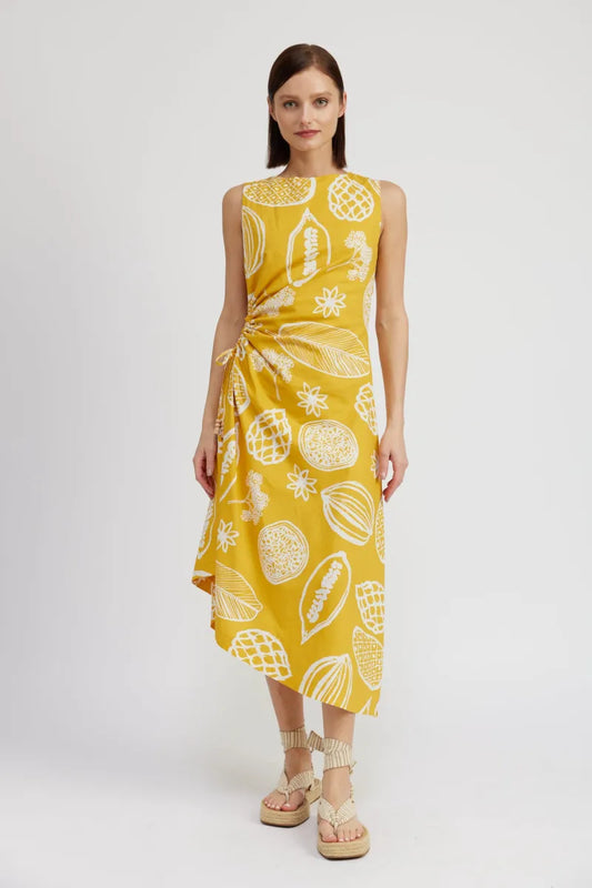 Luisa Fruit Garden Dress